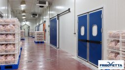 Chicken Cold Storage