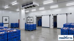 Poultry Giblet Cold Storage