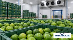 Citrus Fruit Storage