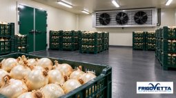 Onion and Garlic Storage