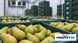 Apple and Pear Storage