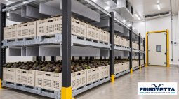 Avocado Ripening Rooms