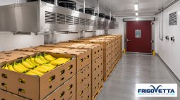 Banana Ripening Rooms