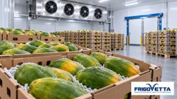 Tropical Fruit Cold Storage