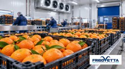 Citrus Fruit Storage