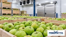 Apple and Pear Storage