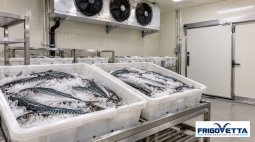 Fresh Fish Cold Storage