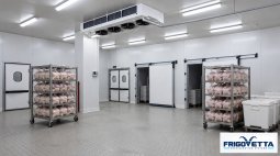 Chicken Cold Storage
