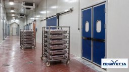 Poultry Giblet Cold Storage