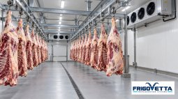 Beef Carcass Chilling
