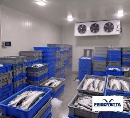 Seafood Cold Storage Projects