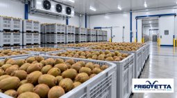 Kiwi and Pomegranate Storage