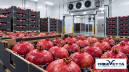 Kiwi and Pomegranate Storage
