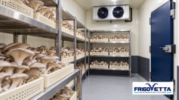 Mushroom Cold Storage
