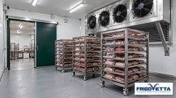 Meat Blast Freezing