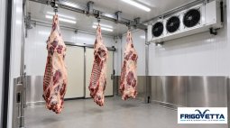Beef Carcass Chilling