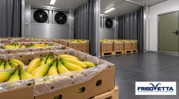 Banana Ripening Rooms