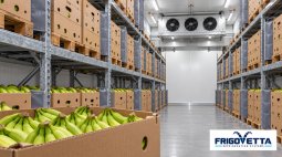 Banana Ripening Rooms