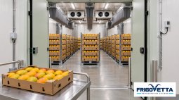 Mango Ripening Rooms