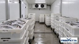 Fresh Fish Cold Storage