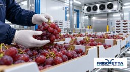 Grape Cold Storage