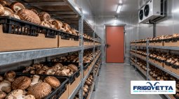 Mushroom Cold Storage