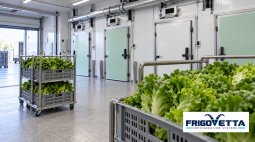 Leafy Vegetable Cold Storage