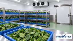 Leafy Vegetable Cold Storage