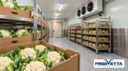 Broccoli and Cauliflower Storage