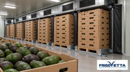 Avocado Ripening Rooms