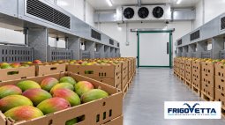 Mango Ripening Rooms