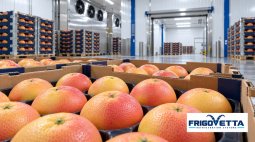 Citrus Fruit Storage