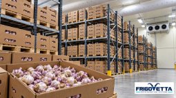 Onion and Garlic Storage