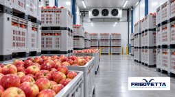 Apple and Pear Storage