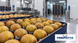 Kiwi and Pomegranate Storage