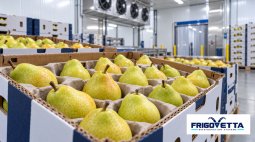 Apple and Pear Storage