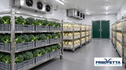 Broccoli and Cauliflower Storage