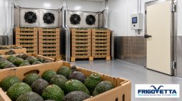 Avocado Ripening Rooms