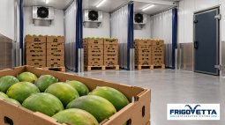 Mango Ripening Rooms