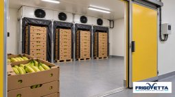 Banana Ripening Rooms