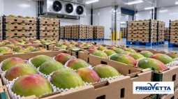 Tropical Fruit Cold Storage