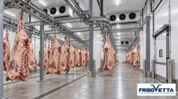 Beef Carcass Chilling