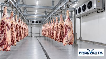 Beef Carcass Chilling