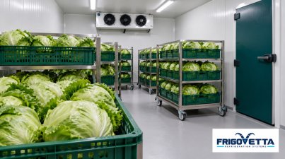Leafy Vegetable Cold Storage
