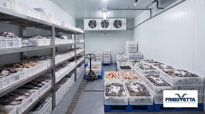 Fresh Fish Cold Storage