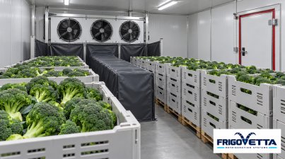 Broccoli and Cauliflower Storage