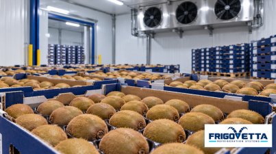 Kiwi and Pomegranate Storage